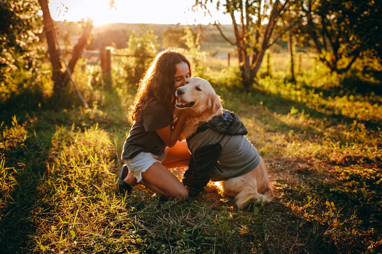 Le labrador, un chien idéal pour les enfants