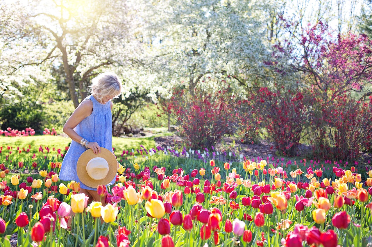 Des astuces pour un jardin magnifique sans trop d’efforts